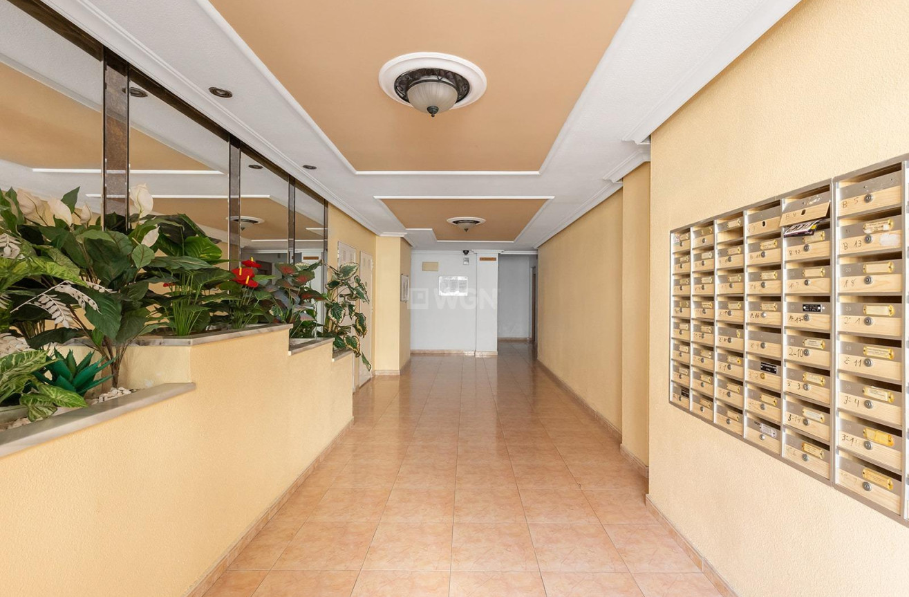 Reventa - Apartamento / piso - Torrevieja