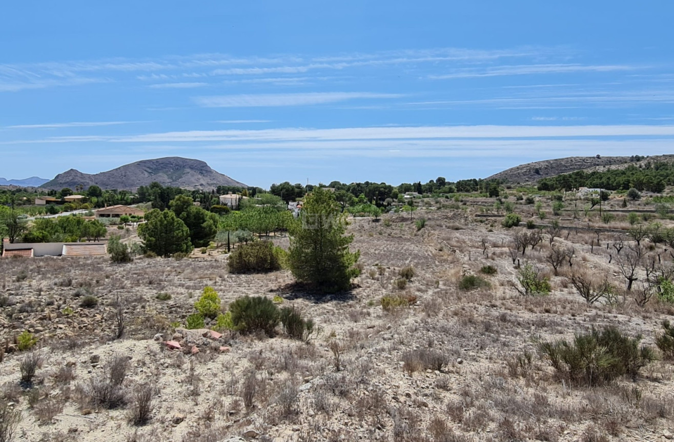 Resale - Land - Monóvar/Monóver - Inland