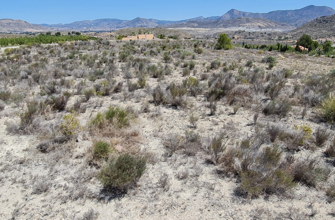 Reventa - Land - Monóvar/Monóver - Inland