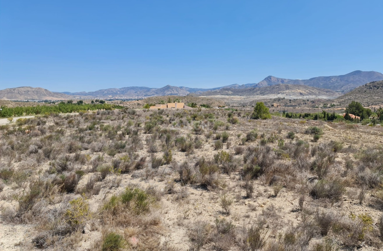 Reventa - Land - Monóvar/Monóver - Inland