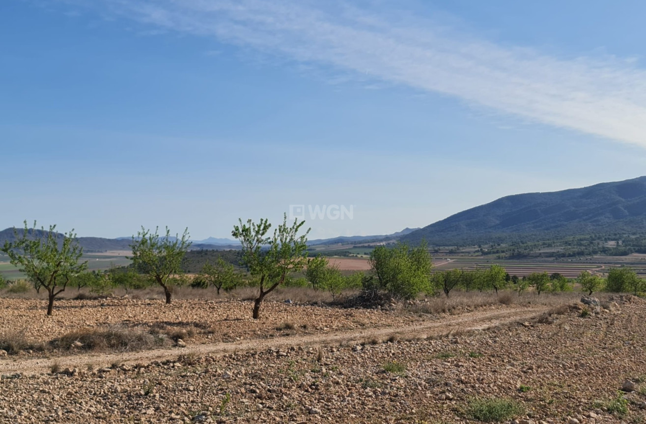 Odsprzedaż - Land - Raspay - Inland