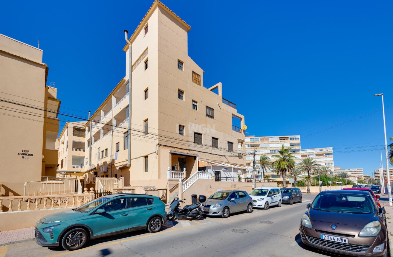 Resale - Apartment / flat - Torrevieja - Costa Blanca