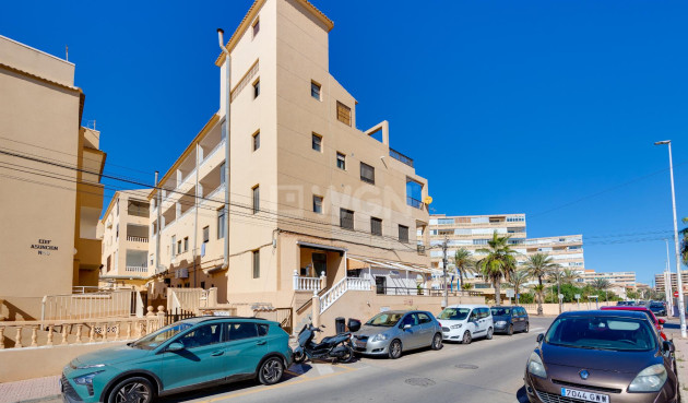 Resale - Apartment / flat - Torrevieja - Costa Blanca