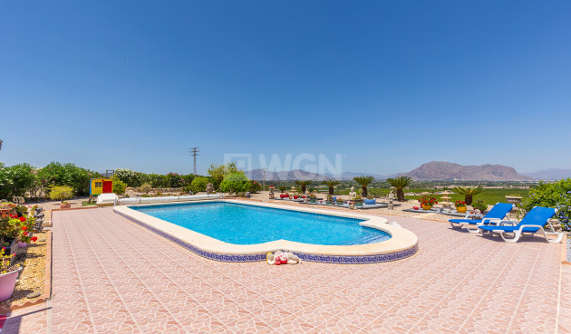 Resale - Villa - Jacarilla - Inland