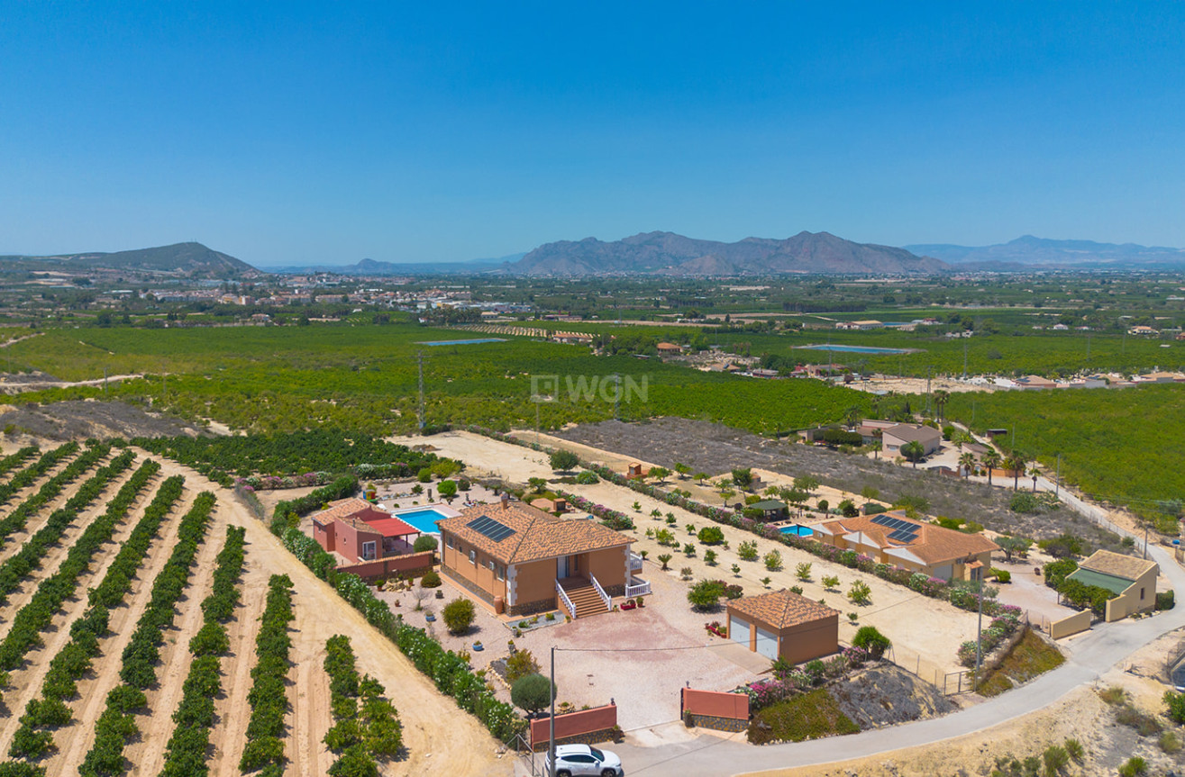 Resale - Villa - Jacarilla - Inland