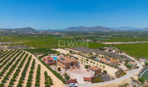 Resale - Villa - Jacarilla - Inland