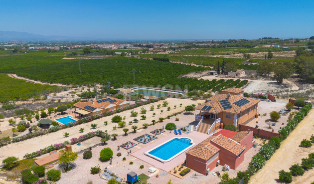 Resale - Villa - Jacarilla - Inland