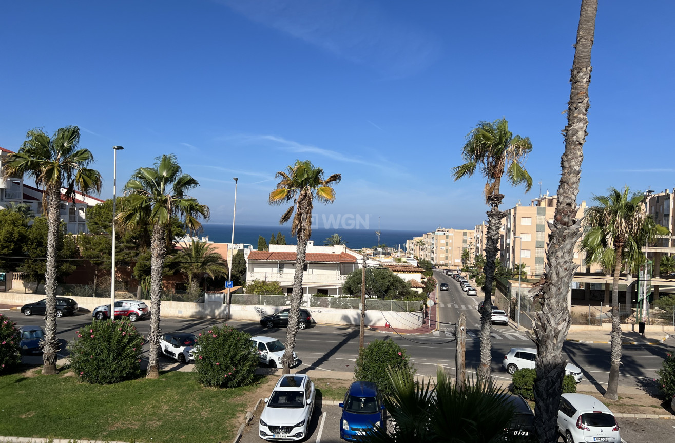 Reventa - Apartamento / piso - Torrevieja - Costa Blanca