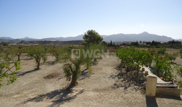 Resale - Land - Abanilla - Inland