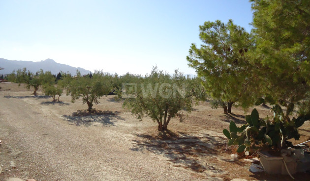 Resale - Land - Abanilla - Inland