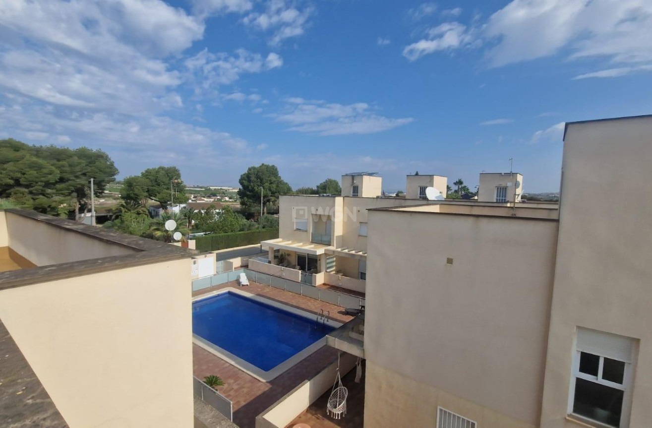 Resale - Duplex - Los Montesinos - La Herrada