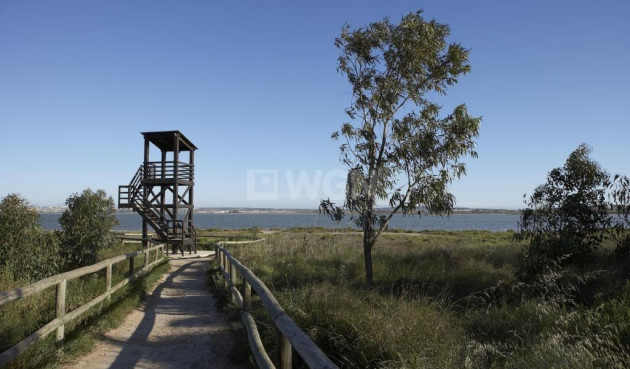 Nowy budynek - Bungalow - Torrevieja - Torrejón