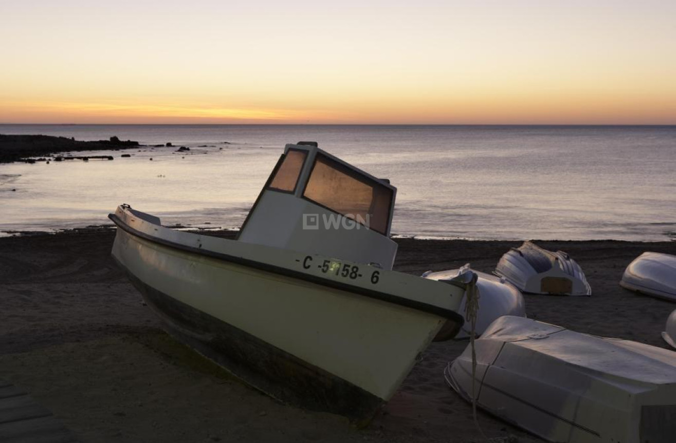 Nowy budynek - Bungalow - Torrevieja - Torrejón