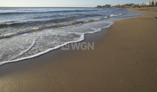 Nowy budynek - Bungalow - Torrevieja - Torrejón