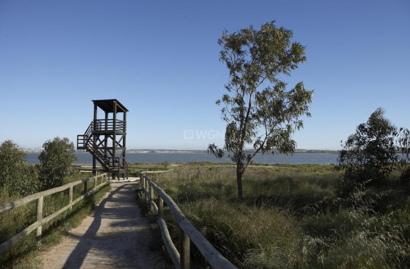 Nowy budynek - Kamienica - Torrevieja - aguas nuevas