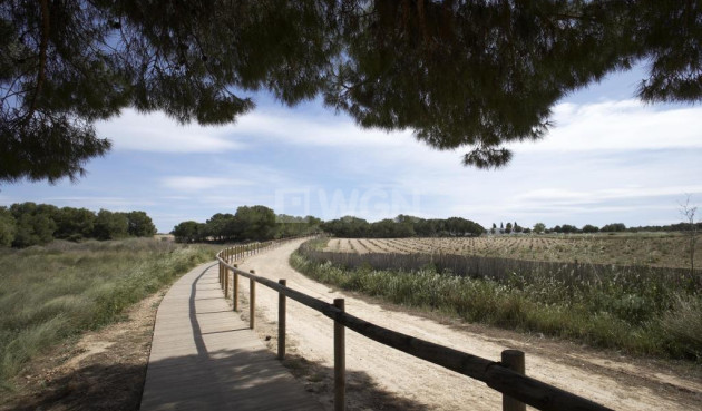 Nowy budynek - Kamienica - Torrevieja - aguas nuevas