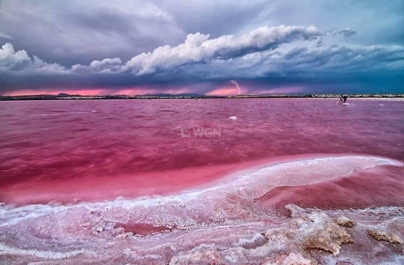 Nowy budynek - Kamienica - Torrevieja - aguas nuevas