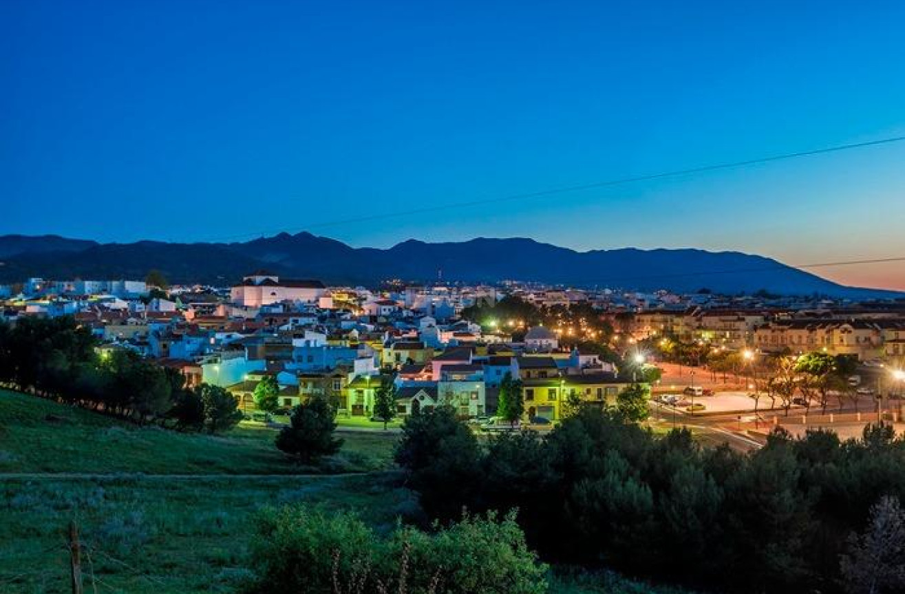 Obra nueva - Villa - Alhaurín de la Torre - Pinos De Alhaurín