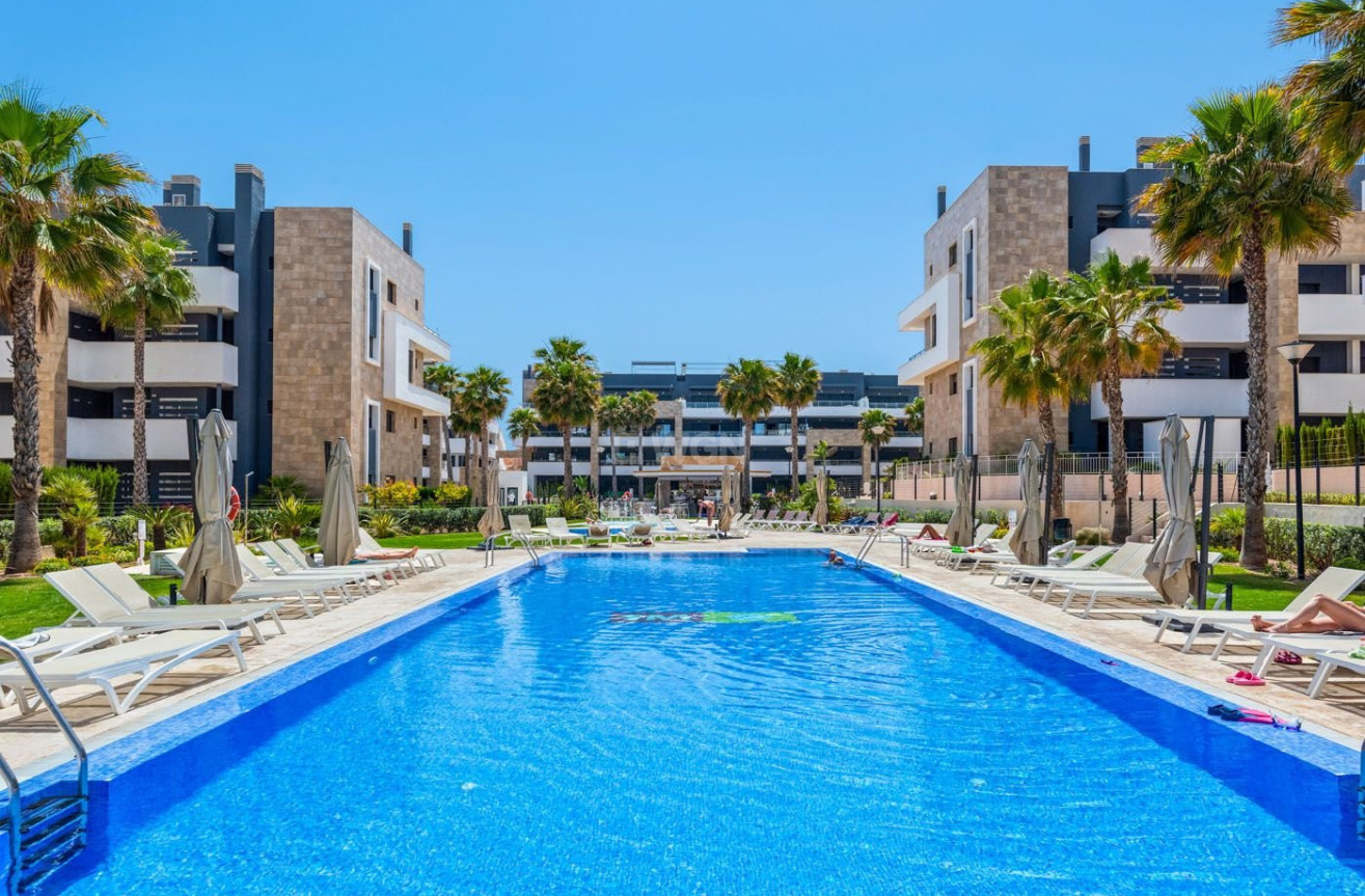 Resale - Apartment / flat - Playa Flamenca - Costa Blanca