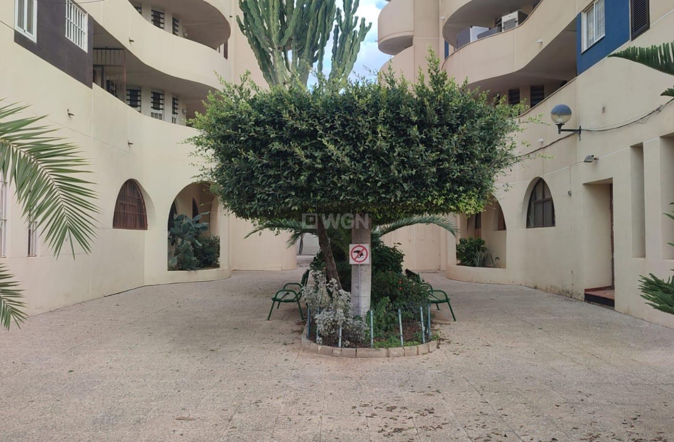 Resale - Apartment / flat - Torrevieja - La Veleta