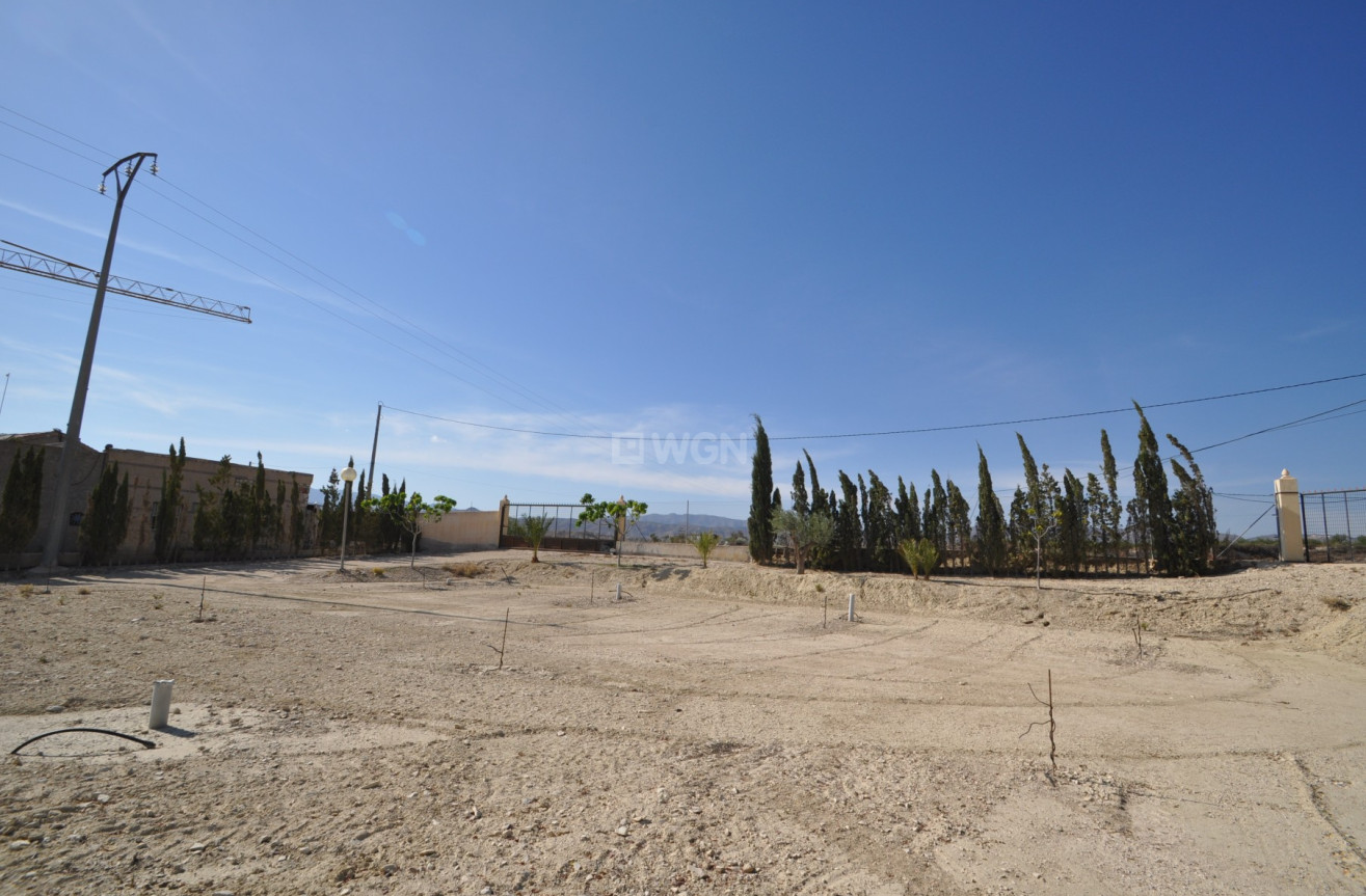 Resale - Commercial - Abanilla - Inland