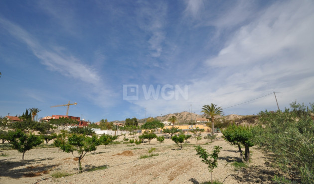 Resale - Commercial - Abanilla - Inland