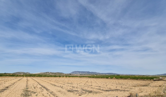 Resale - Land - Pinoso - Inland