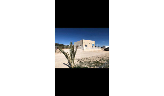 Resale - Villa - Pinoso - Inland