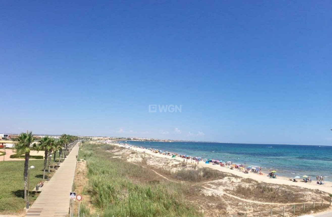 Nowy budynek - Bungalow - Pilar de la Horadada - La Torre de la Horadada