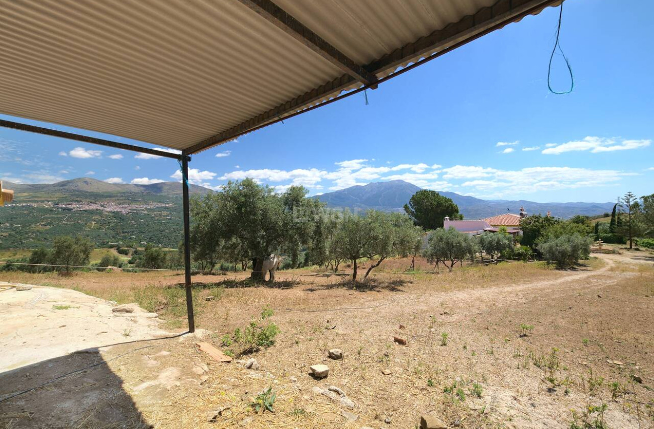 Resale - Villa - Periana - Inland