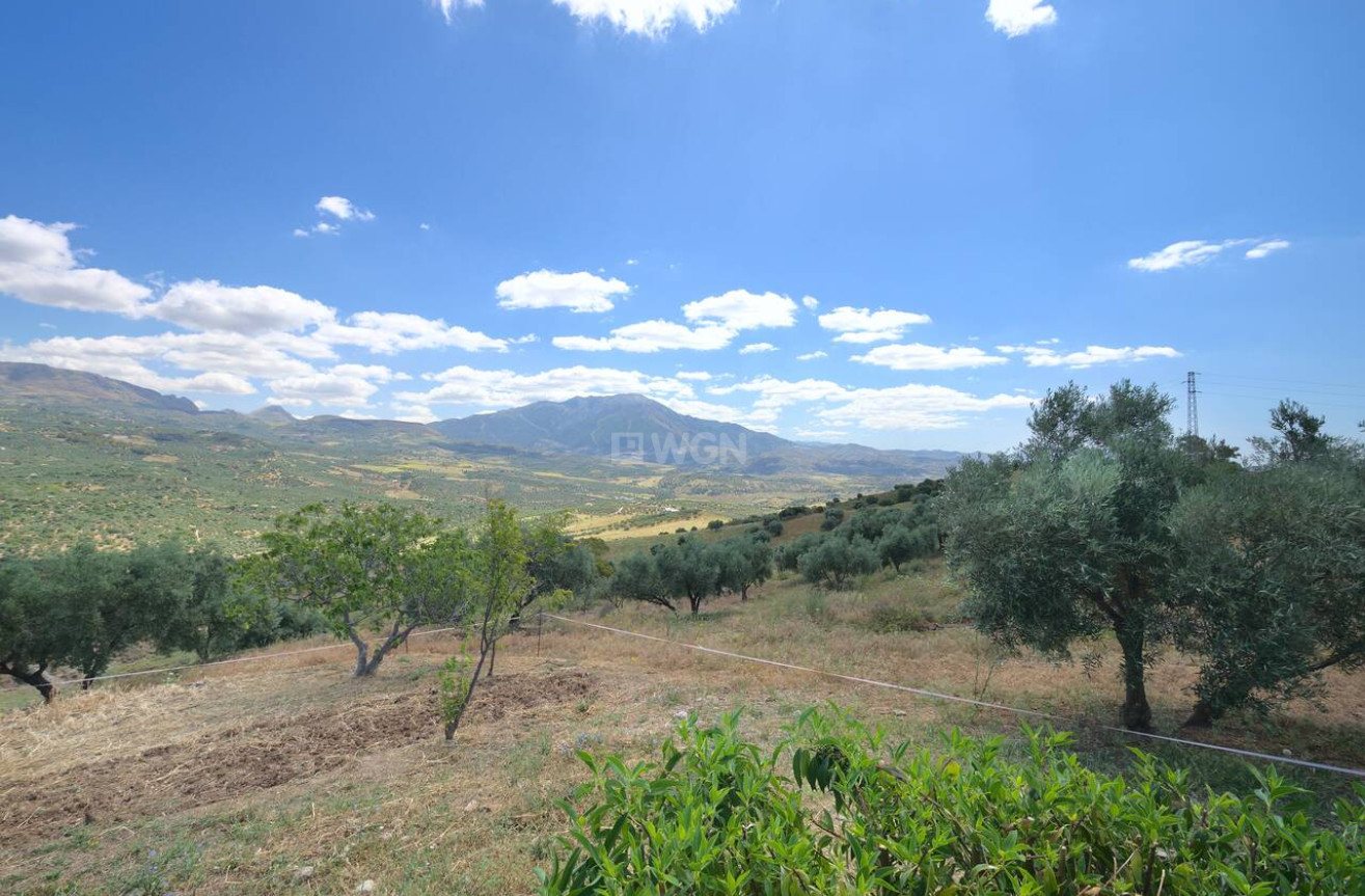 Resale - Villa - Periana - Inland