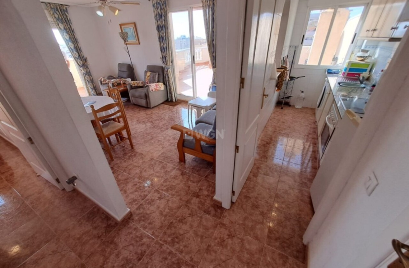 Resale - Apartment / flat - Torrevieja - Costa Blanca