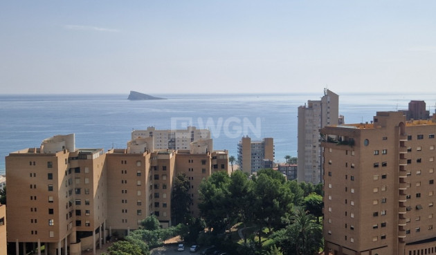 Resale - Apartment / flat - Benidorm - Costa Blanca