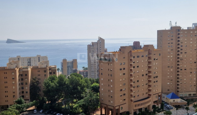 Resale - Apartment / flat - Benidorm - Costa Blanca