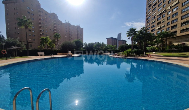 Resale - Apartment / flat - Benidorm - Costa Blanca