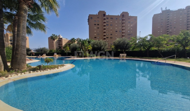 Resale - Apartment / flat - Benidorm - Costa Blanca