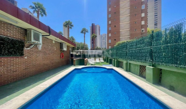 Resale - Apartment / flat - Benidorm - Costa Blanca