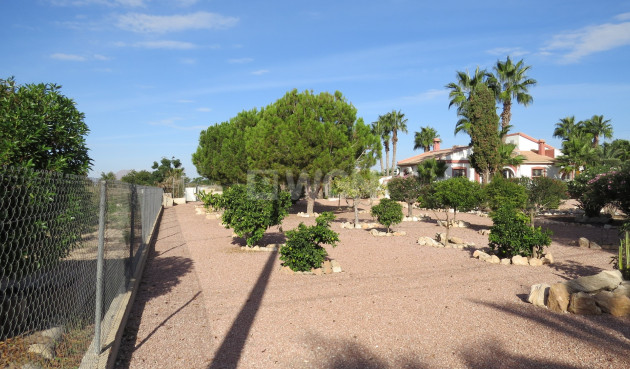 Resale - Country House - Daya Vieja - Costa Blanca