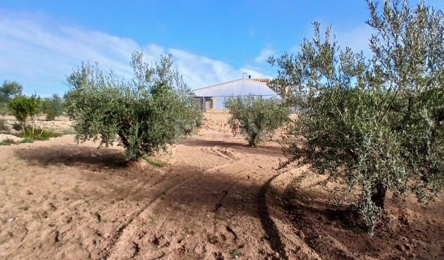 Resale - Country House - Jumilla - Inland