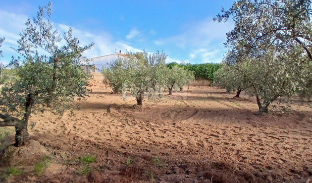 Resale - Country House - Jumilla - Inland