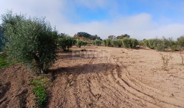 Resale - Country House - Jumilla - Inland