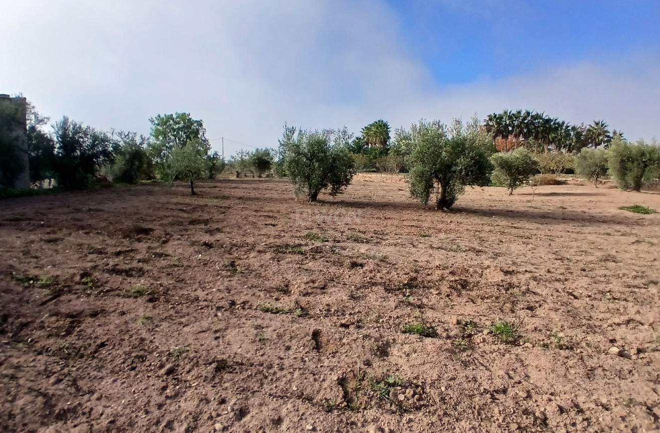 Resale - Country House - Jumilla - Inland