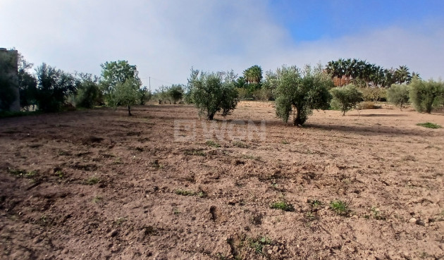 Resale - Country House - Jumilla - Inland