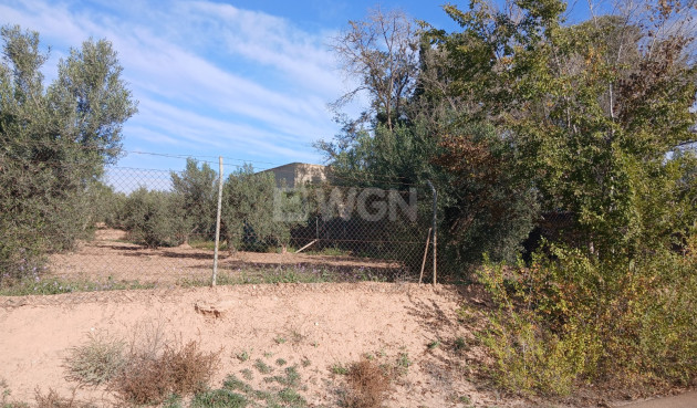 Resale - Country House - Jumilla - Inland