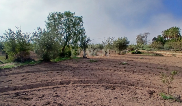 Resale - Country House - Jumilla - Inland