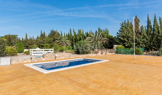 Resale - Villa - Los Montesinos - Costa Blanca