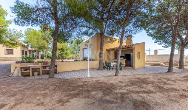 Resale - Villa - Alicante - Ciudad De Asís - Font-calent - El Bacarot