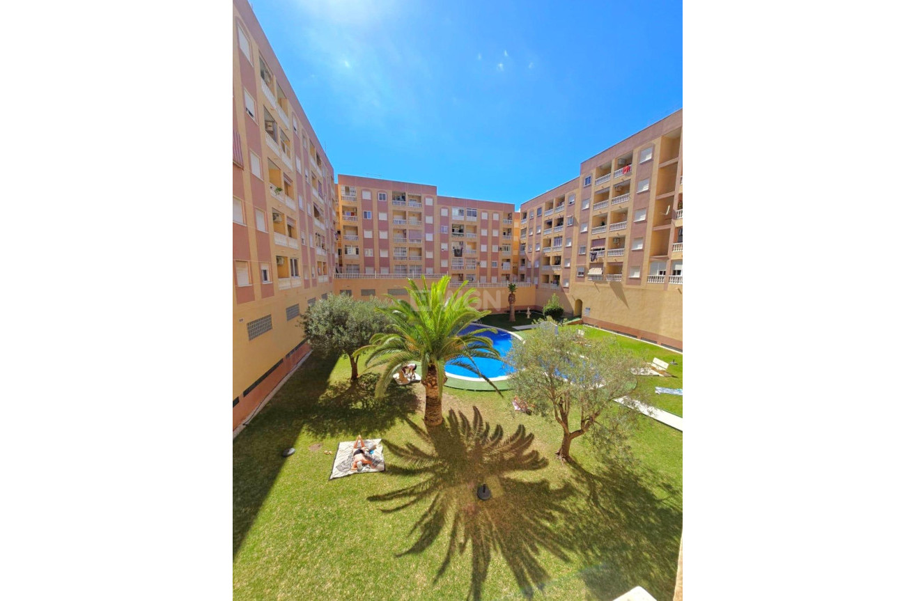 Resale - Apartment / flat - Torrevieja - Centro