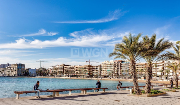 Resale - Apartment / flat - Torrevieja - Parque Las Naciones