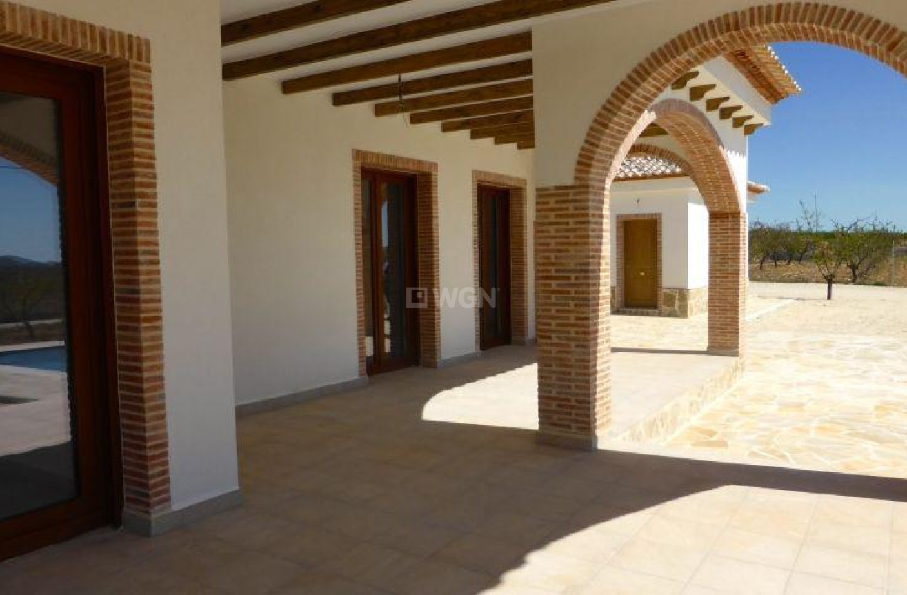 Obra nueva - Villa - Pinoso - Centro